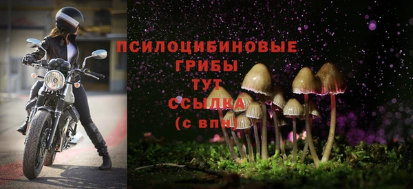 соль ск Арсеньев