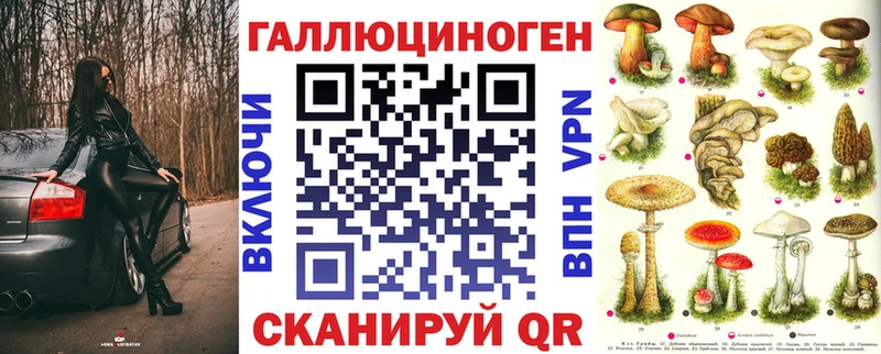 мега рабочий сайт  Новоузенск  Псилоцибиновые грибы Psilocybine cubensis  продажа наркотиков 